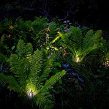 Город, которого нет на карте. Установочная сессия и немного практики