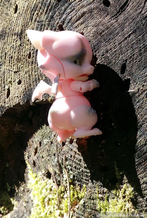 Город, которого нет на карте. Не самый осенний цветок (фото 4)