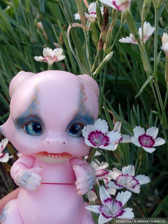 Гиацинт дачный, ягодно-цветочный (фото 7)