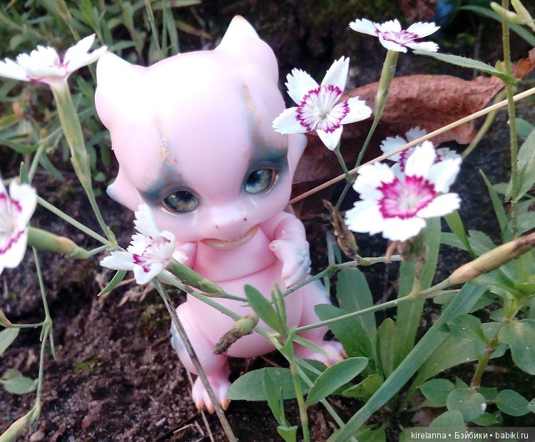 Гиацинт дачный, ягодно-цветочный (фото 6)