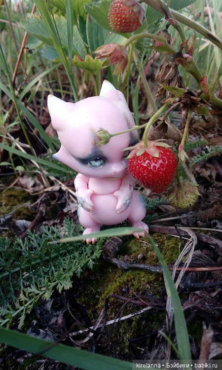 Гиацинт дачный, ягодно-цветочный (фото 10)