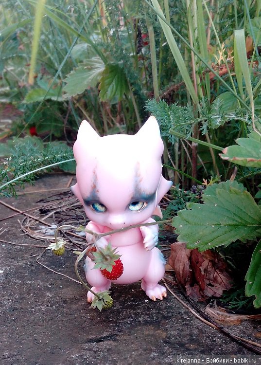 Гиацинт дачный, ягодно-цветочный (фото 9)