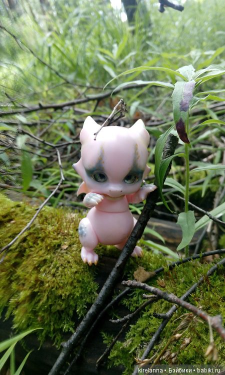 Город, которого нет на карте. Не самый осенний цветок (фото 5)