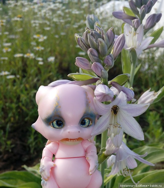 Город, которого нет на карте. Не самый осенний цветок