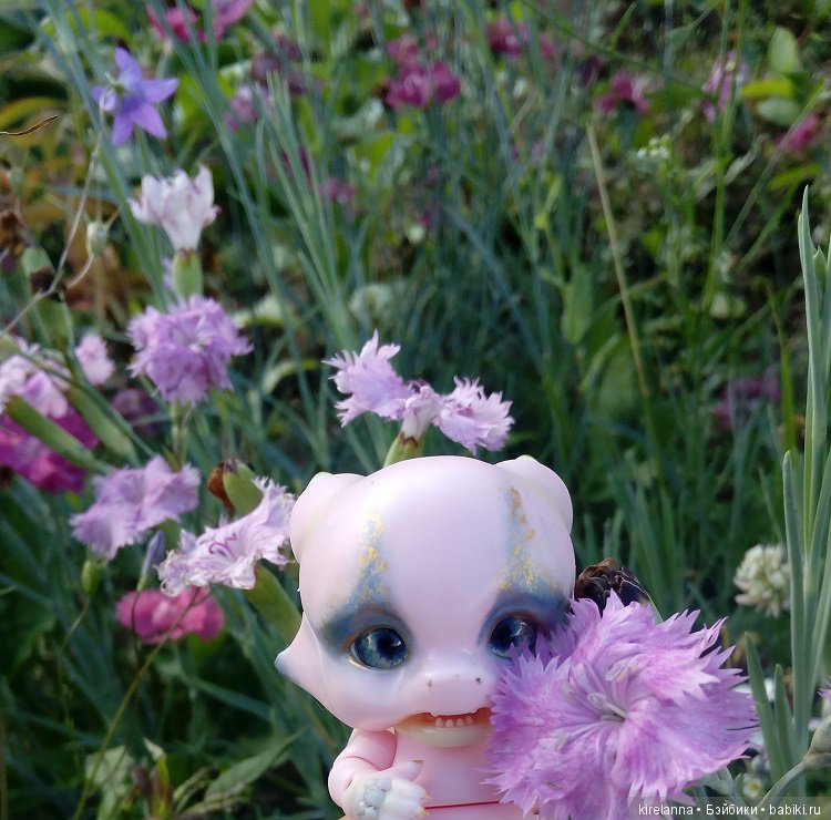 Гиацинт дачный, ягодно-цветочный (фото 8)