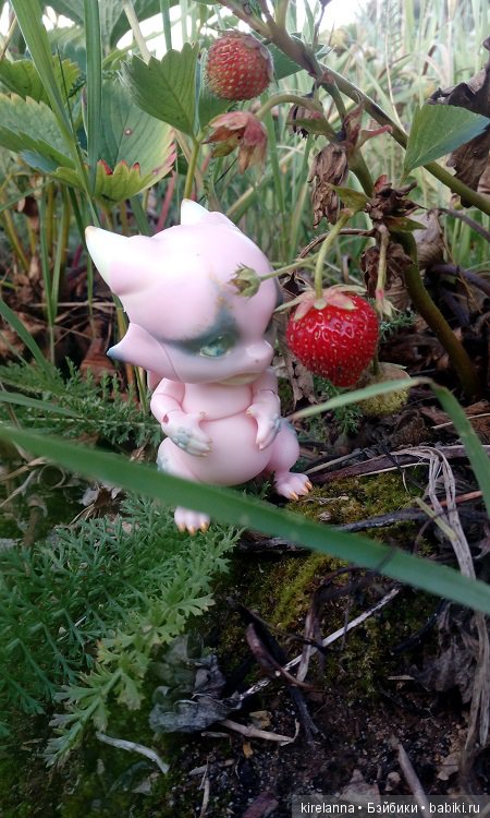 Гиацинт дачный, ягодно-цветочный