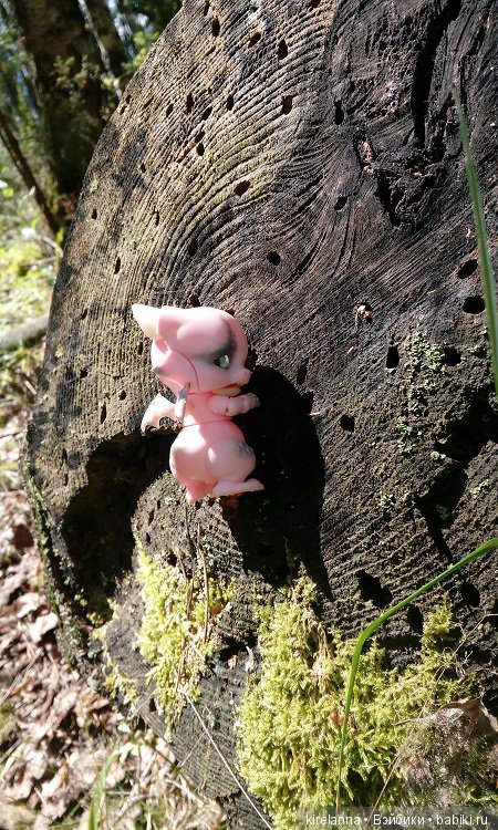 Город, которого нет на карте. Не самый осенний цветок (фото 3)