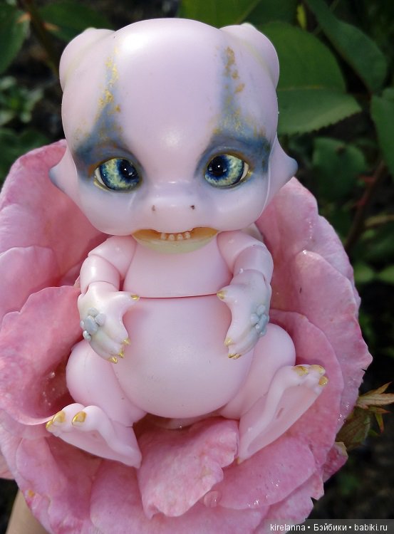 Гиацинт дачный, ягодно-цветочный (фото 4)