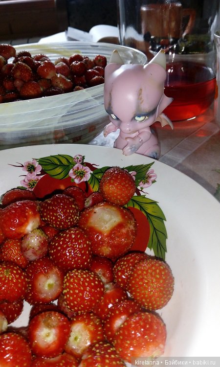 Гиацинт дачный, ягодно-цветочный