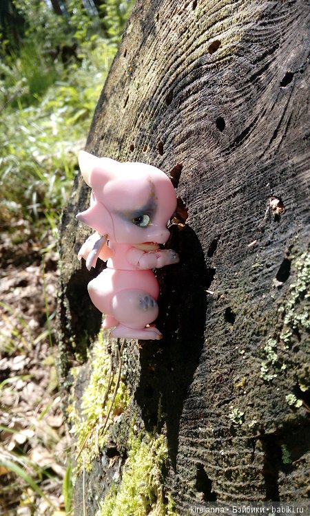 Гиацинт дачный, ягодно-цветочный