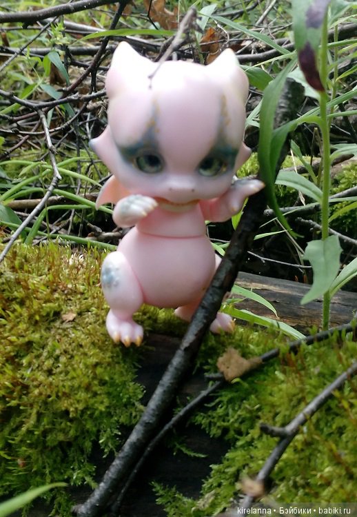 Город, которого нет на карте. Не самый осенний цветок (фото 6)