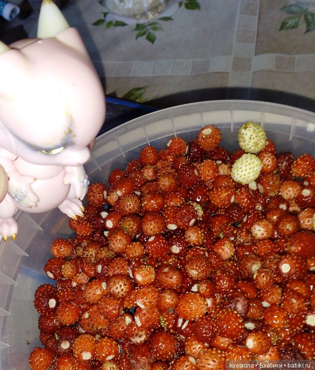 Гиацинт дачный, ягодно-цветочный