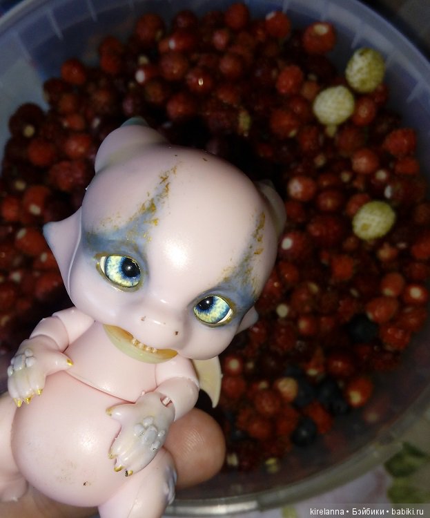 Гиацинт дачный, ягодно-цветочный