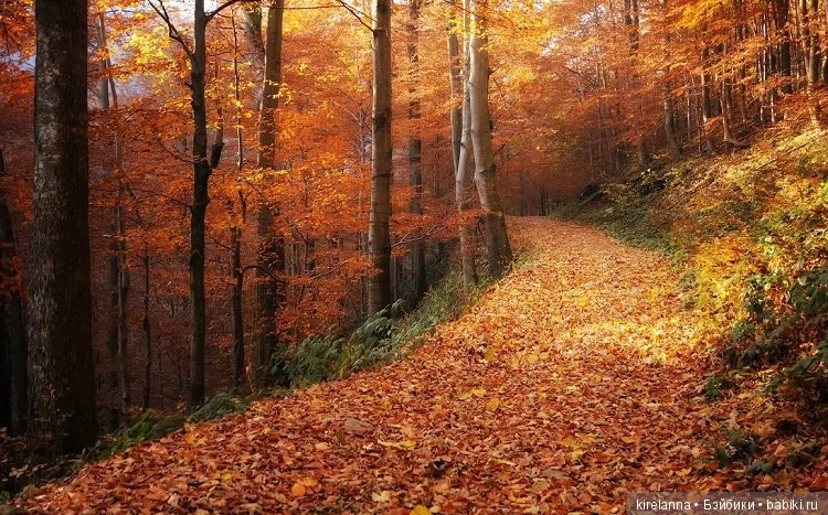 Город, которого нет на карте. Не самый осенний цветок (фото 2)