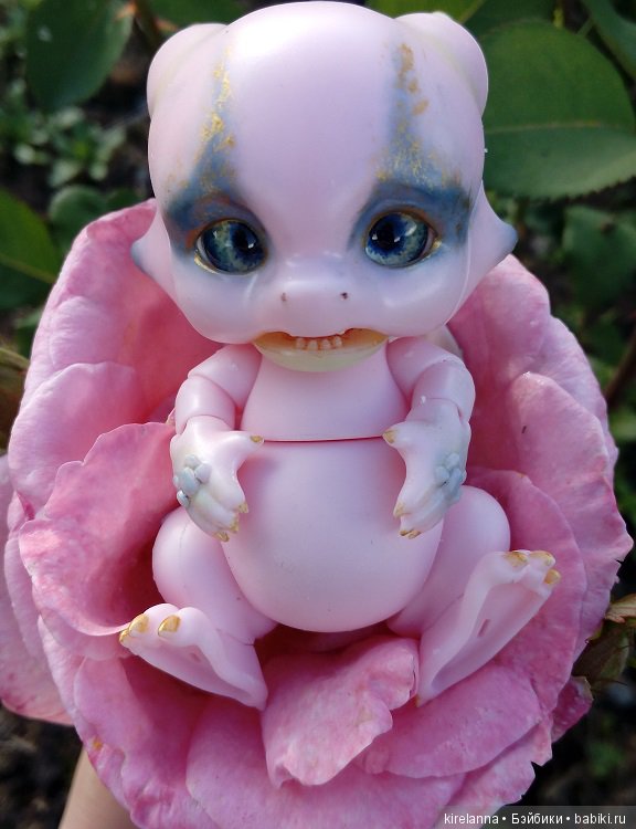 Гиацинт дачный, ягодно-цветочный (фото 3)