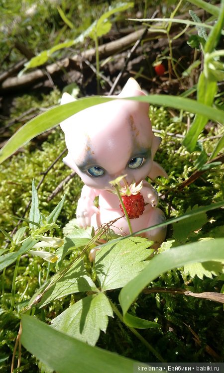 Гиацинт дачный, ягодно-цветочный