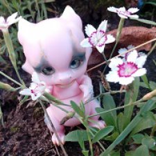 Гиацинт дачный, ягодно-цветочный