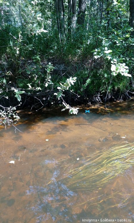 Наше лето. Часть 2 - река, маги и стрекозы