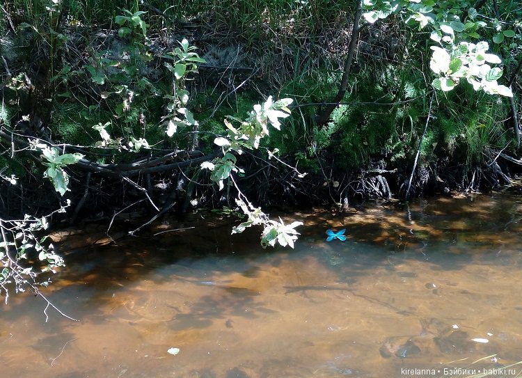 Наше лето. Часть 2 - река, маги и стрекозы