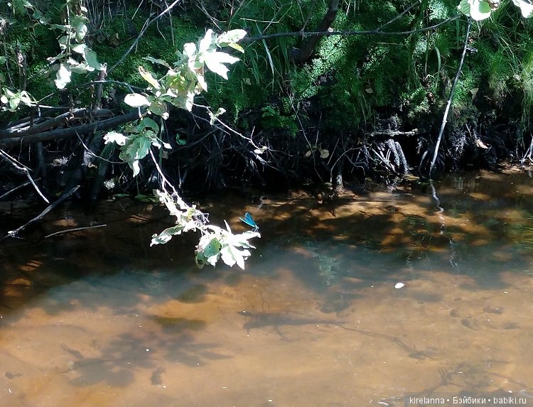 Наше лето. Часть 2 - река, маги и стрекозы
