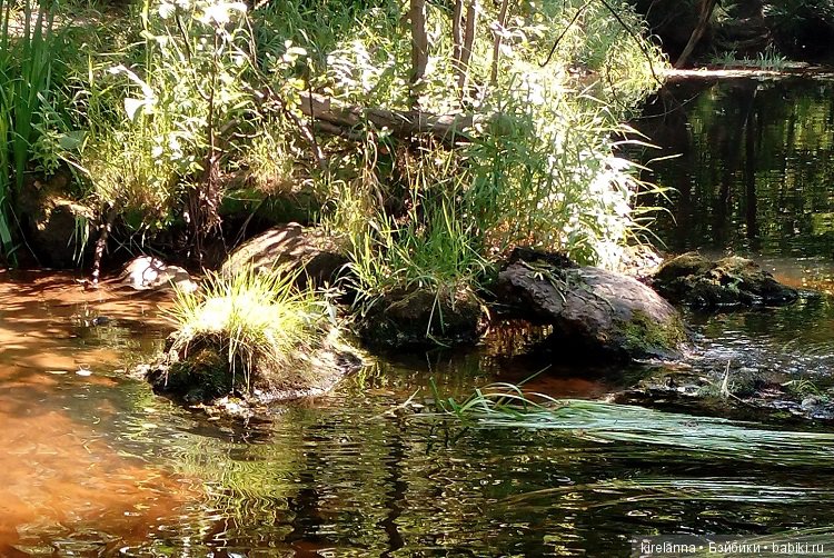 Наше лето. Часть 2 - река, маги и стрекозы