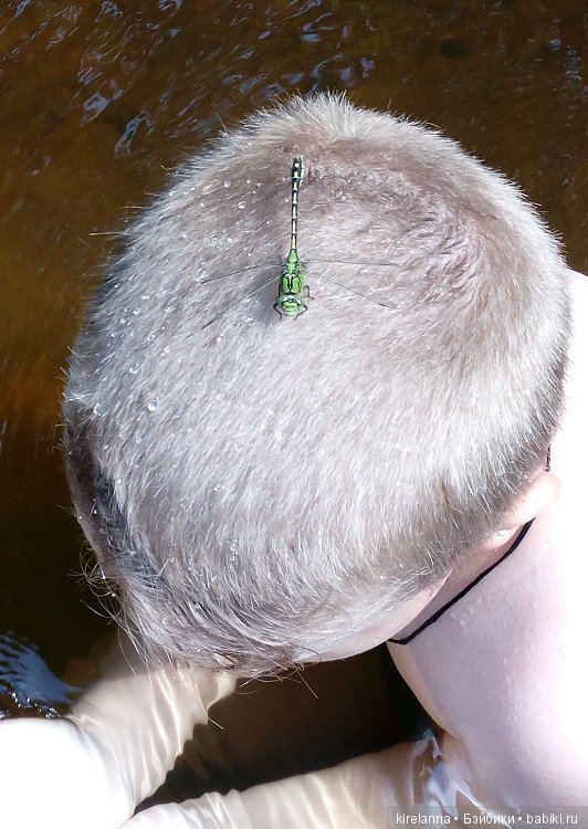 Наше лето. Часть 2 - река, маги и стрекозы