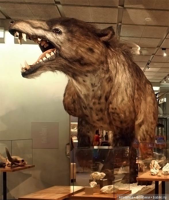 Город, которого нет на карте. Зарисовки к психологическому портрету вурдалака - часть 1