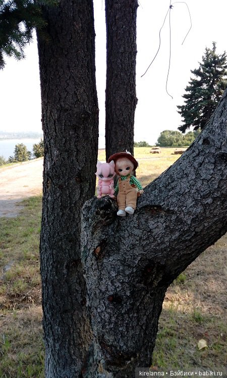 Немножко осеннего солнца и древних башен (фото 8)