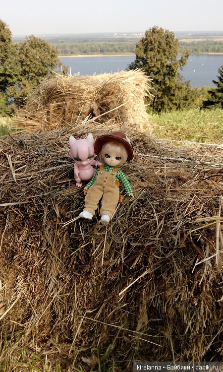 Немножко осеннего солнца и древних башен (фото 7)