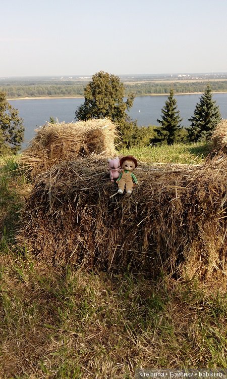 Немножко осеннего солнца и древних башен (фото 5)