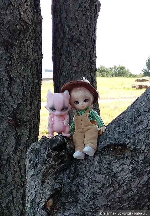 Немножко осеннего солнца и древних башен (фото 10)