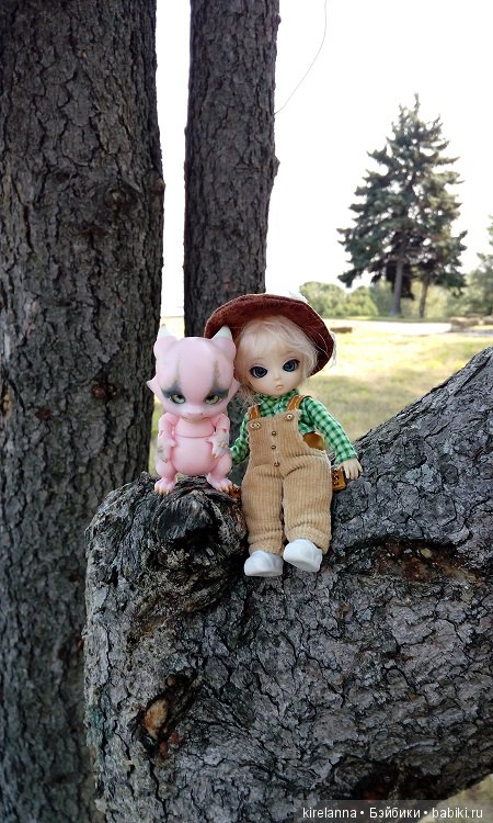 Немножко осеннего солнца и древних башен (фото 9)