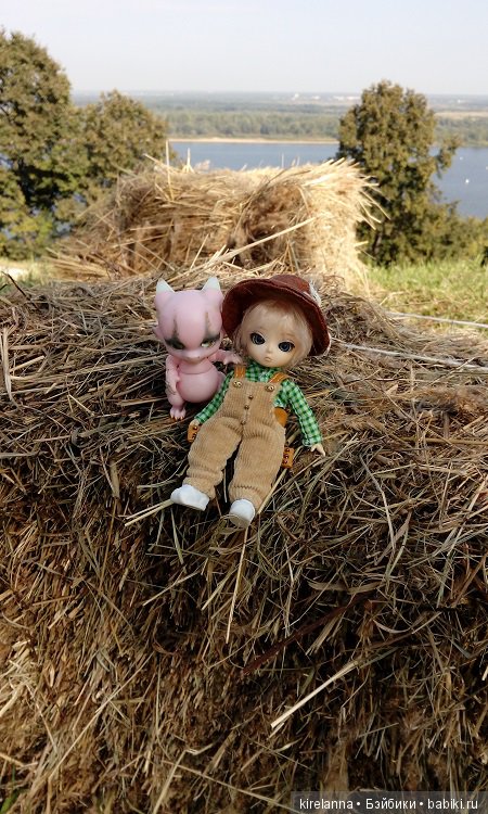 Немножко осеннего солнца и древних башен (фото 6)