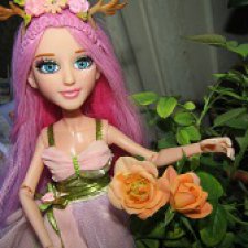 Зарекалась ворона...или опять новенькие