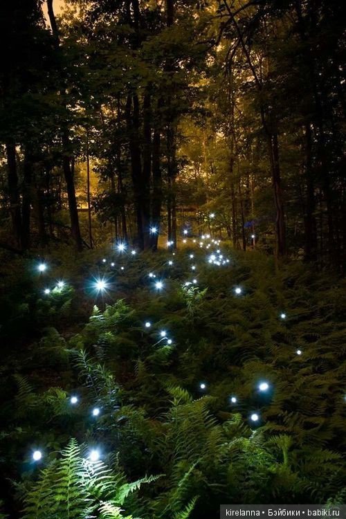 Город, которого нет на карте. Лысогорск глазами Наблюдателя - часть 2