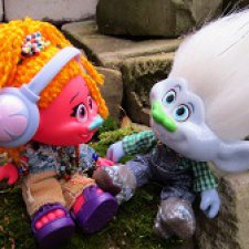 Из жизни троллей