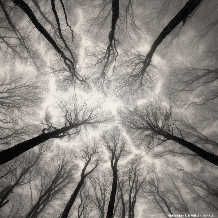 Город, которого нет на карте. Те, кто с нами, и те, кто не с нами