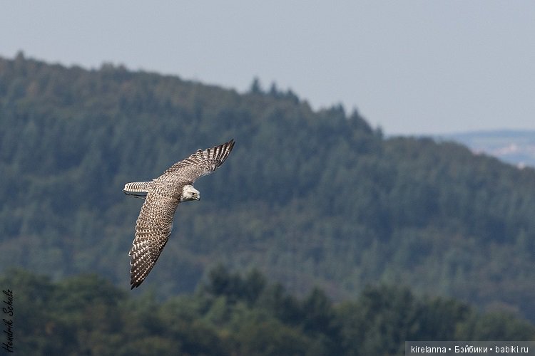 Город, которого нет на карте. В режиме ожидания