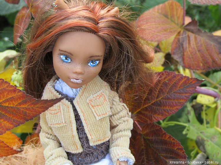 Лисья осень — Куклы Monster High и Ever After High: G1