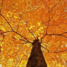 Город, которого нет на карте. В режиме ожидания