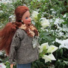 Первый снег