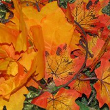 Город, которого нет на карте. Минута после полуночи