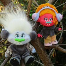 Из жизни троллей