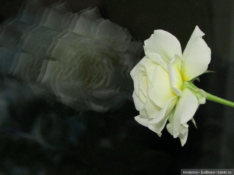 Поздний вечер на подоконнике