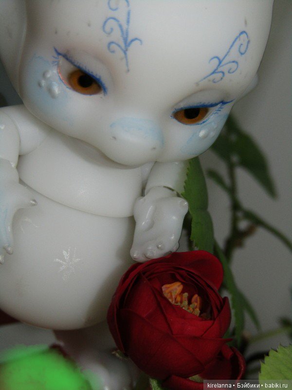 Поздний вечер на подоконнике (фото 4)