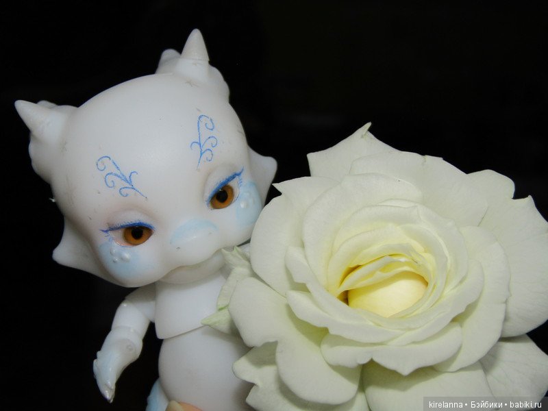 Поздний вечер на подоконнике (фото 6)