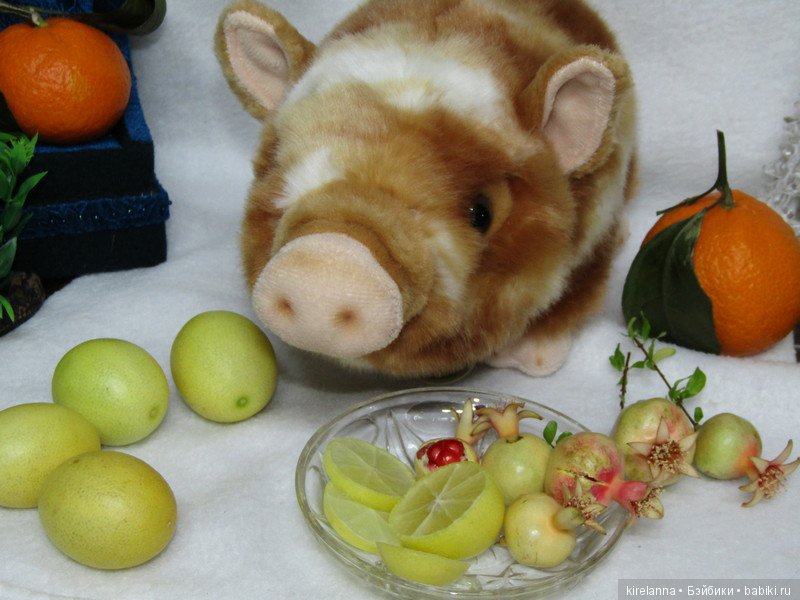 Свинья в апельсинах | Бэйбики Свинья в апельсинах — Интересные игрушки и фигурки (разное): редкие (фото 2)