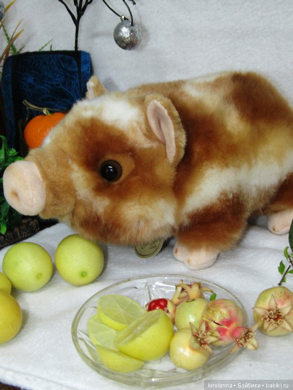 Свинья в апельсинах | Бэйбики Свинья в апельсинах — Интересные игрушки и фигурки (разное): редкие (фото 6)