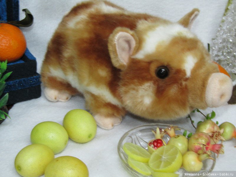 Свинья в апельсинах | Бэйбики Свинья в апельсинах — Интересные игрушки и фигурки (разное): редкие (фото 5)