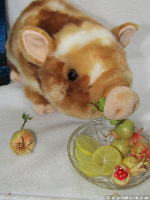 Свинья в апельсинах | Бэйбики Свинья в апельсинах — Интересные игрушки и фигурки (разное): редкие (фото 7)